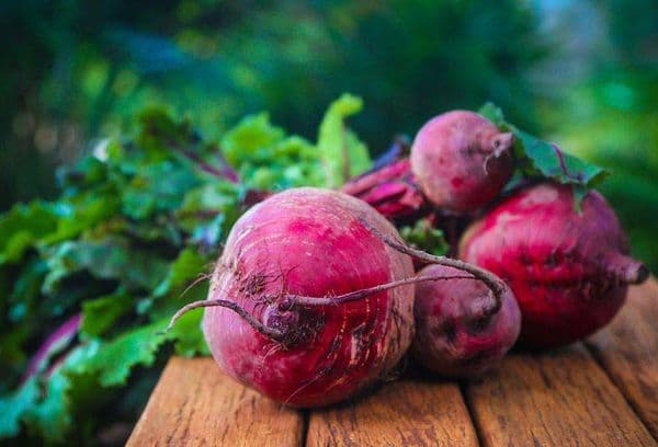 Betteraves fraîches