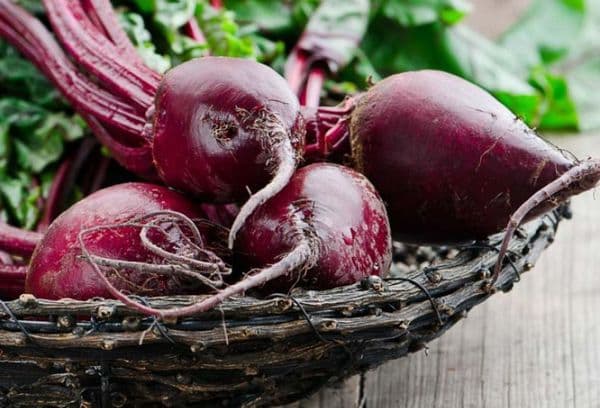 Vase à la betterave