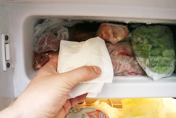 Levure vivante congelante