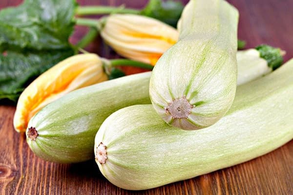 Courgettes fraîches