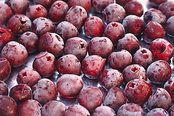 Cerises sans pépins givrées