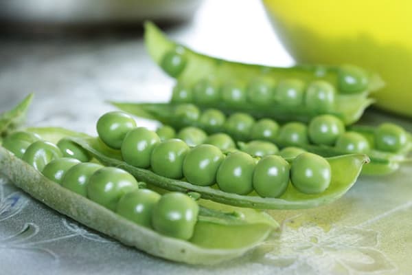 Pois verts frais