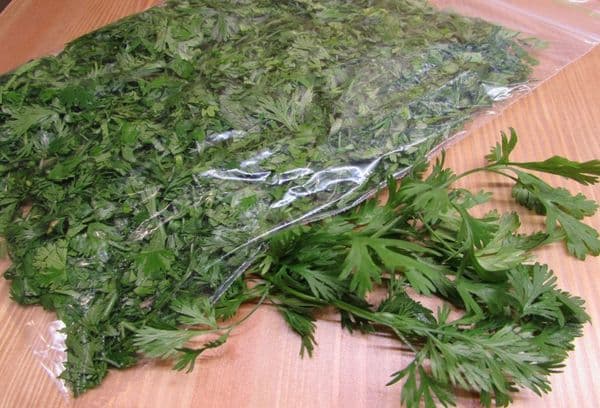Feuilles de coriandre congelées