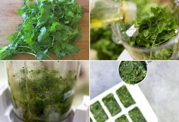 Gelée de coriandre à l'huile