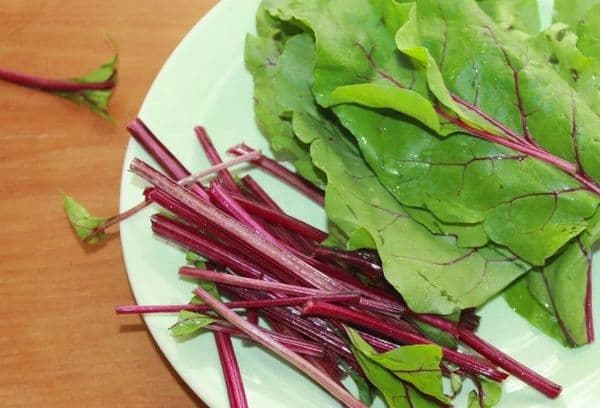 jeunes tiges de betterave