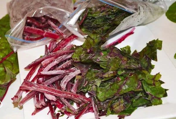 Tiges de betterave surgelées