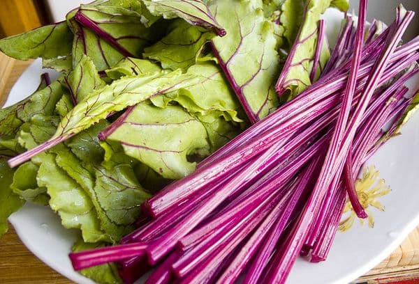 Tiges de betterave et feuilles