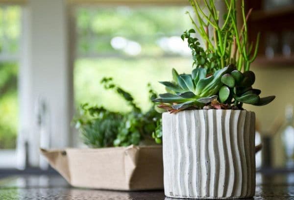 Est-il possible de mettre des fleurs sur le réfrigérateur: les avantages et les inconvénients