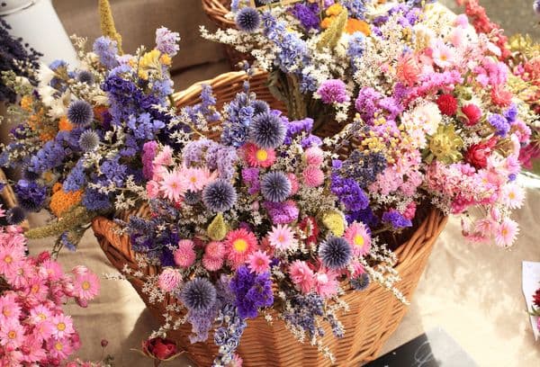 Apprendre à sécher des fleurs et des feuilles pour un herbier
