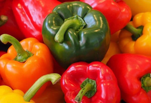 Poivron frais