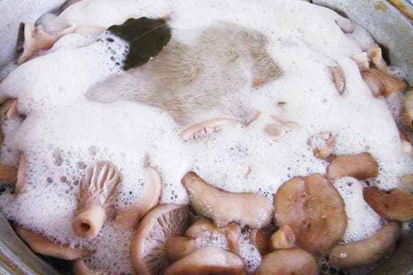 Cuisson aux champignons