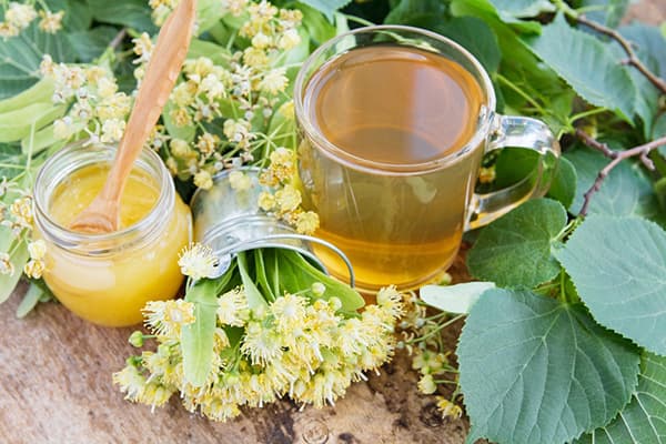 Thé au tilleul avec du miel