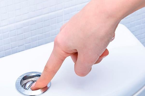 Bouton de chasse d'eau