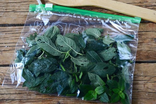 Feuilles de menthe dans un zip