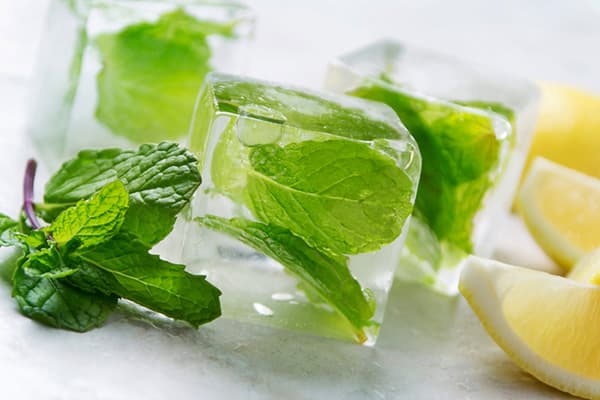 Menthe et citron dans des boîtes de glace