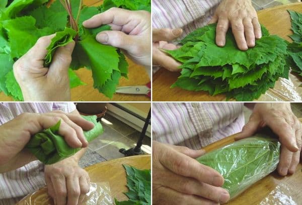 Pliage et congélation