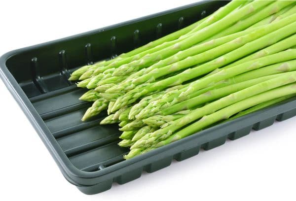 Gousses d'asperges dans un récipient