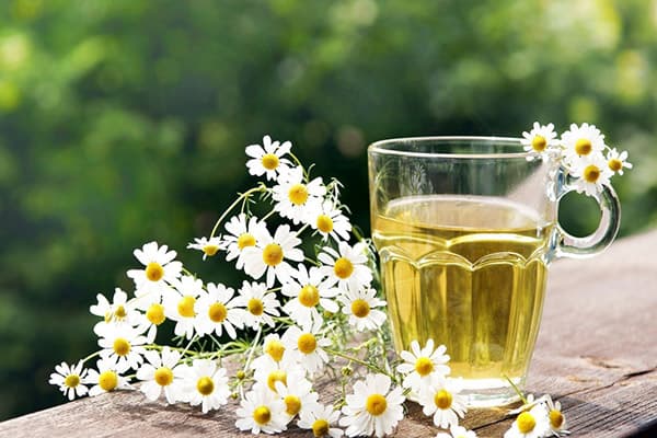 Thé à la camomille