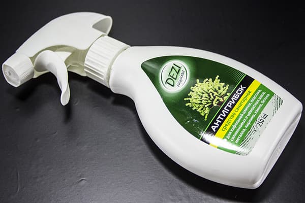 Pulvérisation de moisissure