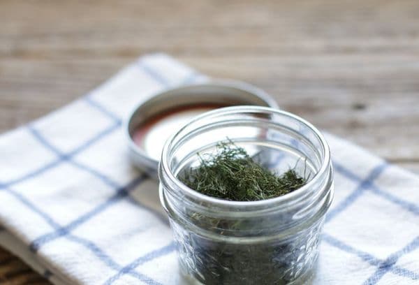 Aneth sec dans un pot