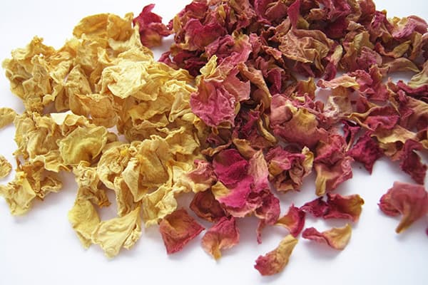 Pétales De Rose Musquée