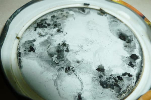 Moule sur le couvercle de la canette