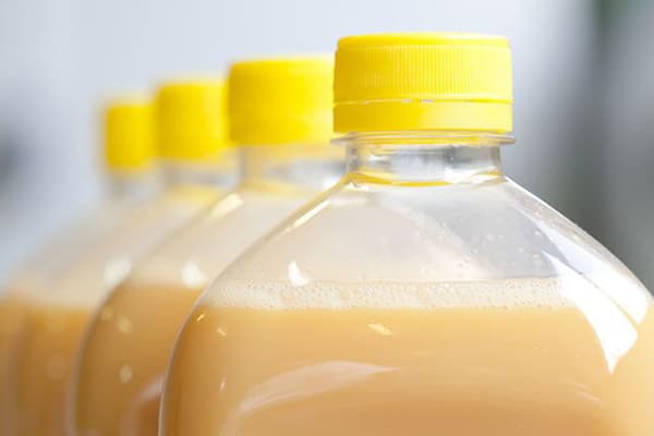 Mélange d'oeufs en bouteille