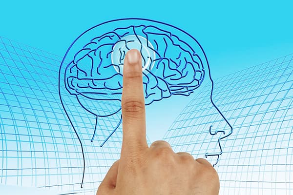 Maintenir un système nerveux sain