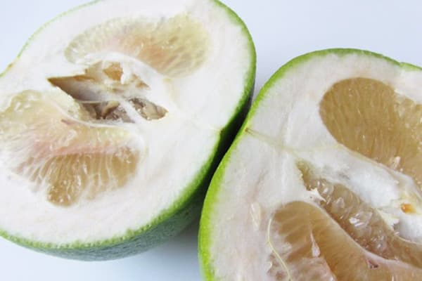 Foetus en coupe transversale